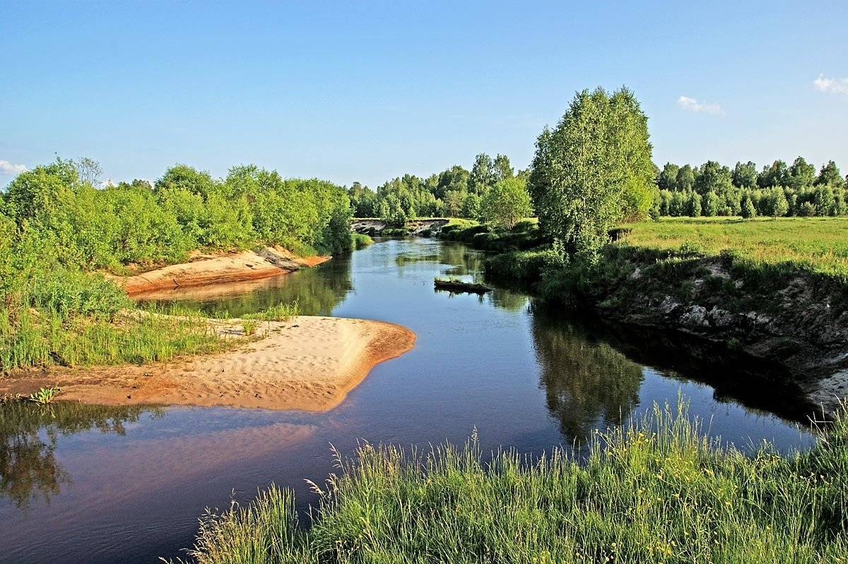Река гусь рязанская область: описание. маршрут. фото