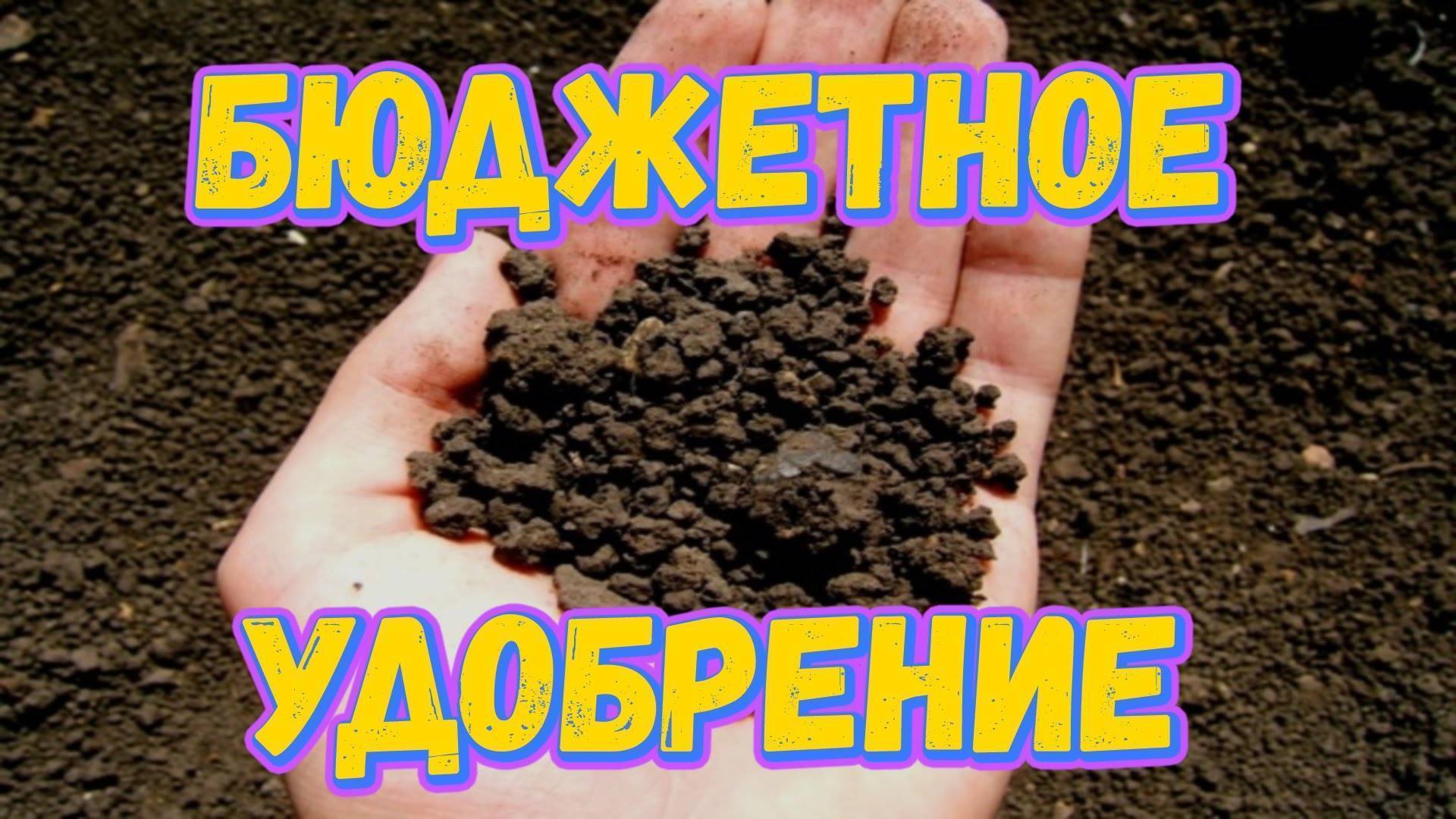 Удобрение для аквариума: матчасть, виды подкормок, как вносить, изготовление и покупка