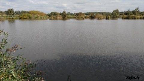 Охота и рыбалка - блог - взгляд изнутри