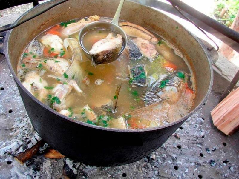 Уха из осетра в домашних условиях