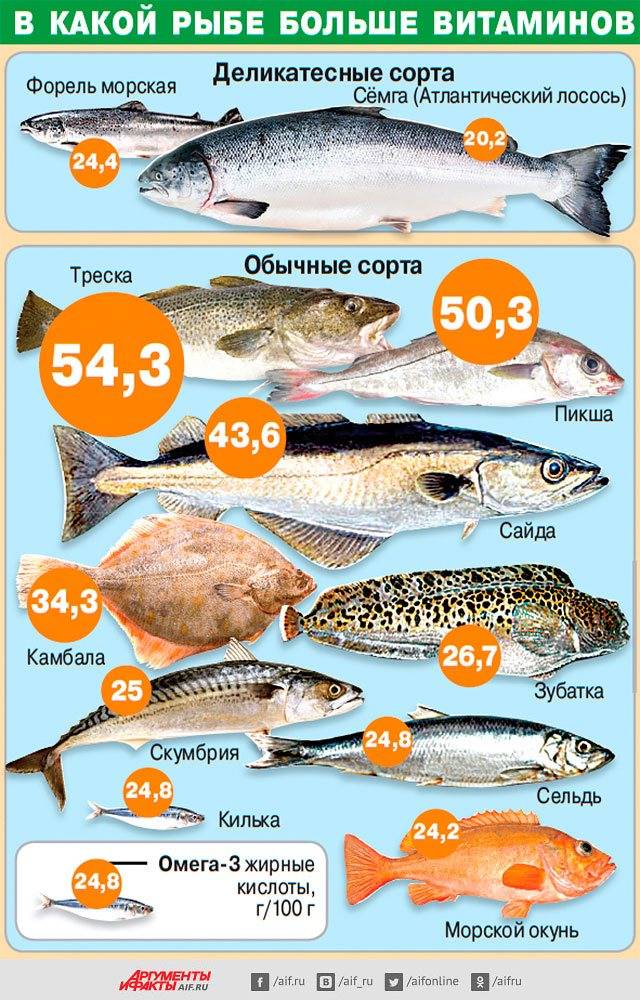 Лосось (лат. sаlmоnidае)