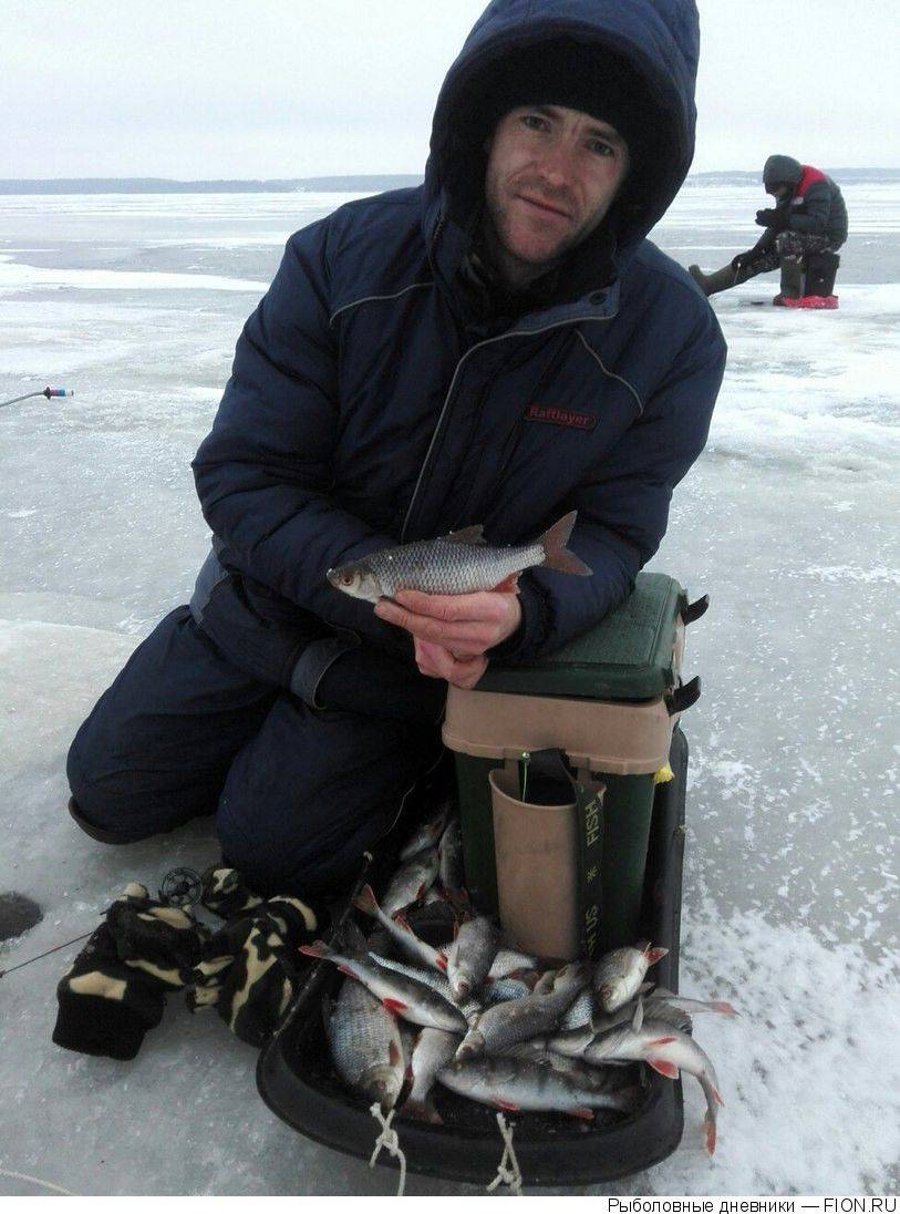 Рыбалка на горьковском водохранилище, обзор рыболовных баз на море