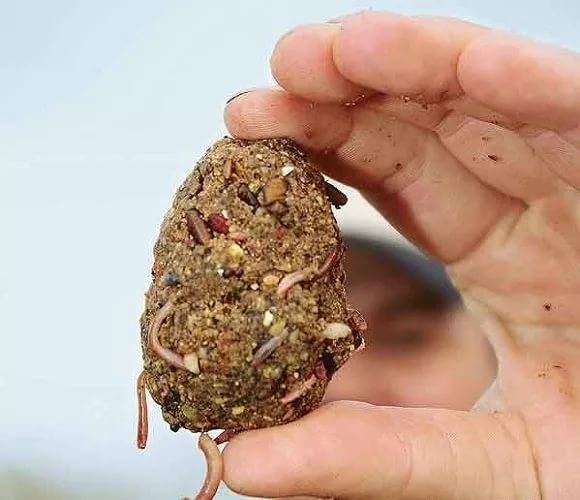 Линь рыба: описание, места, повадки, снасти, приманки, прикормки....