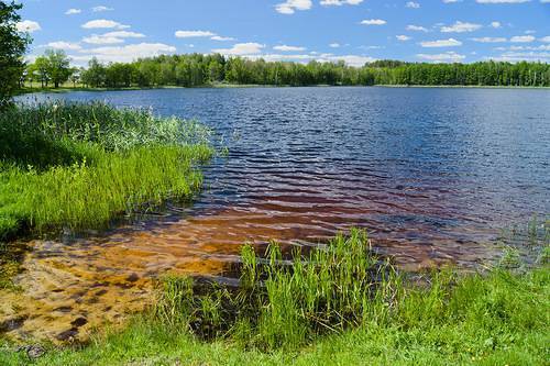 Рыбалка во владимирской области: платная и бесплатная