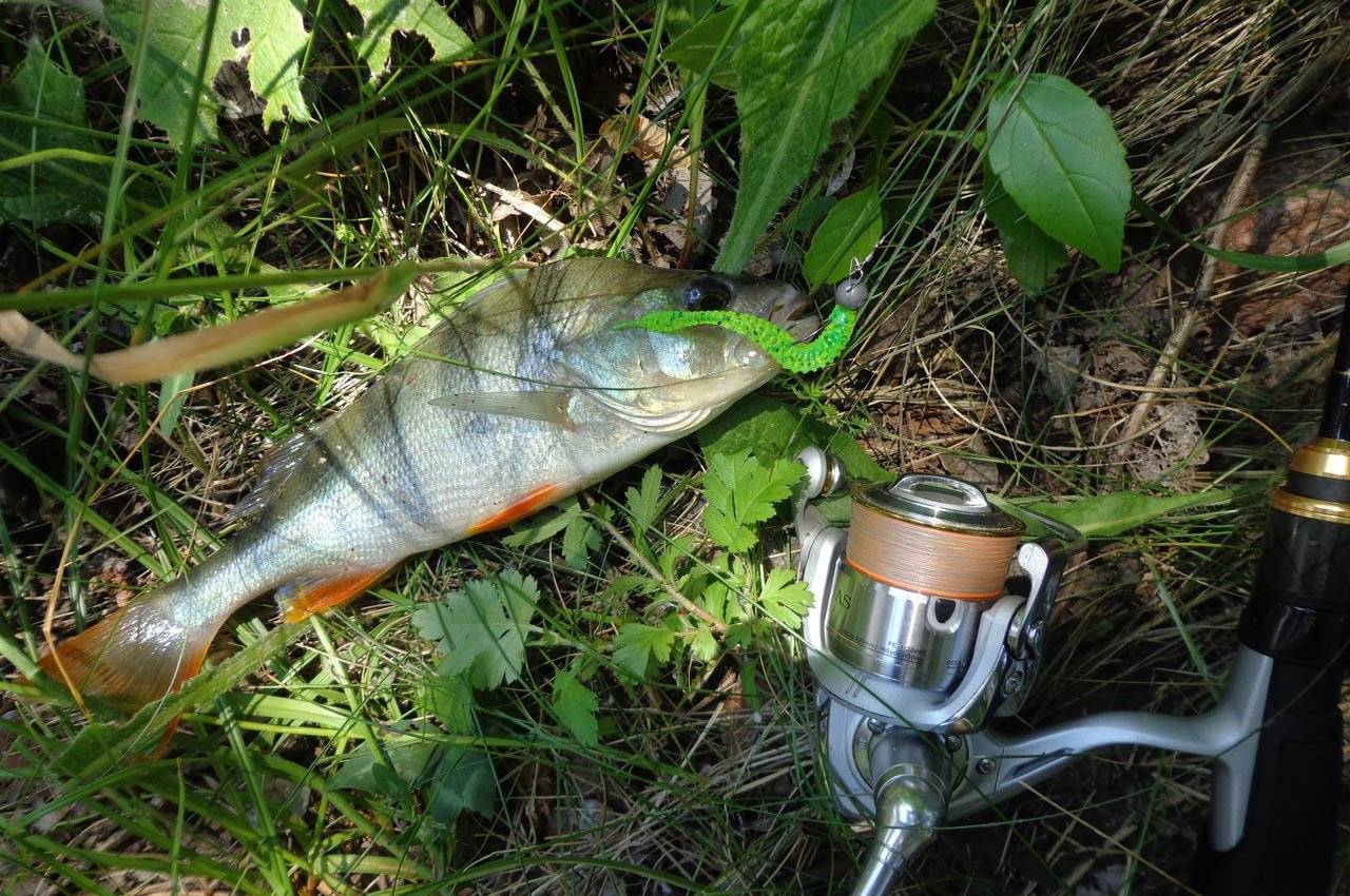 Как ловить рыбу на малых реках на спиннинг?