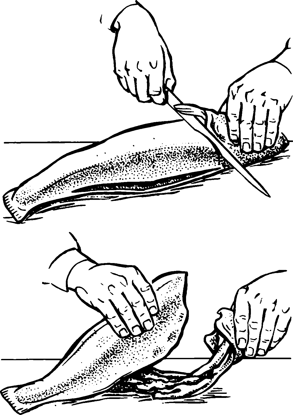 ✅ как очистить щуку от слизи. полезные свойства рыбы - sundaria.su