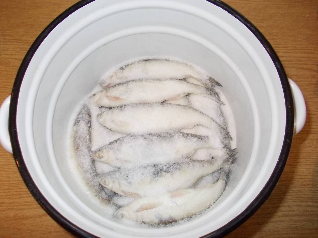 Как вялить рыбу в домашних условиях. рецепты, фото и видео
