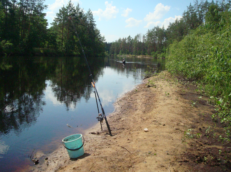 Рыбалка в рязани и рязанской области, как ловить зимой на речках или озерах