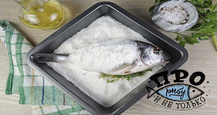 Рассол для засолки рыбы: сколько дней солится в домашних условиях, рецепты для посола