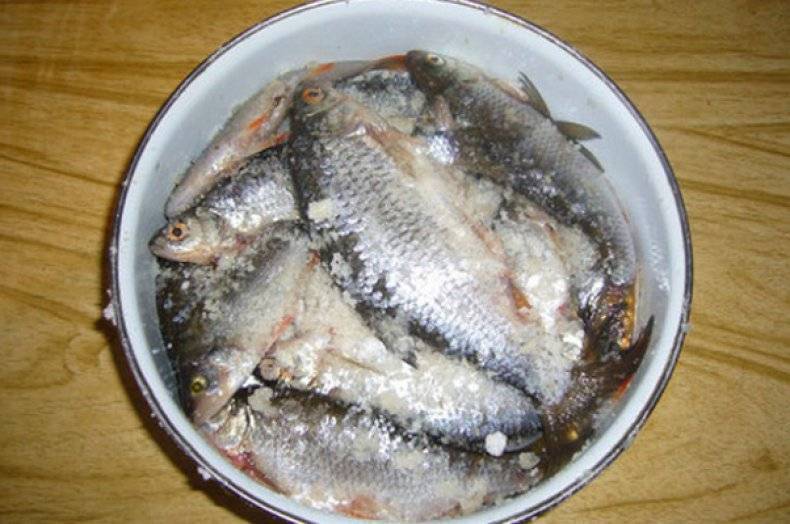 Какими методами можно солить рыбу для сушки в домашних условиях?