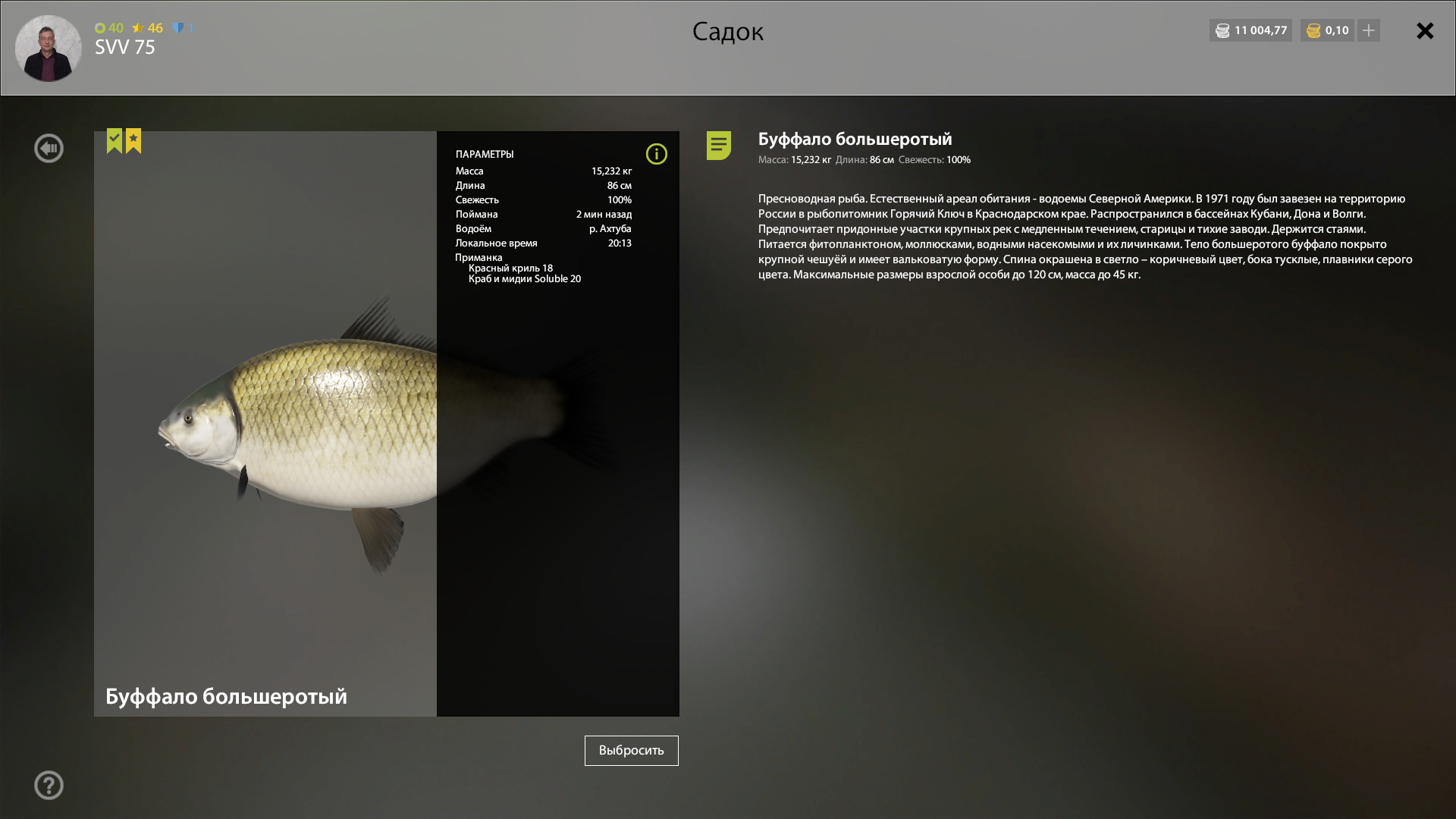 Рыба буффало: описание, внешний вид с фото, обитание