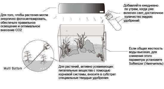 Удобрения для аквариума: своими руками, как правильно вносить