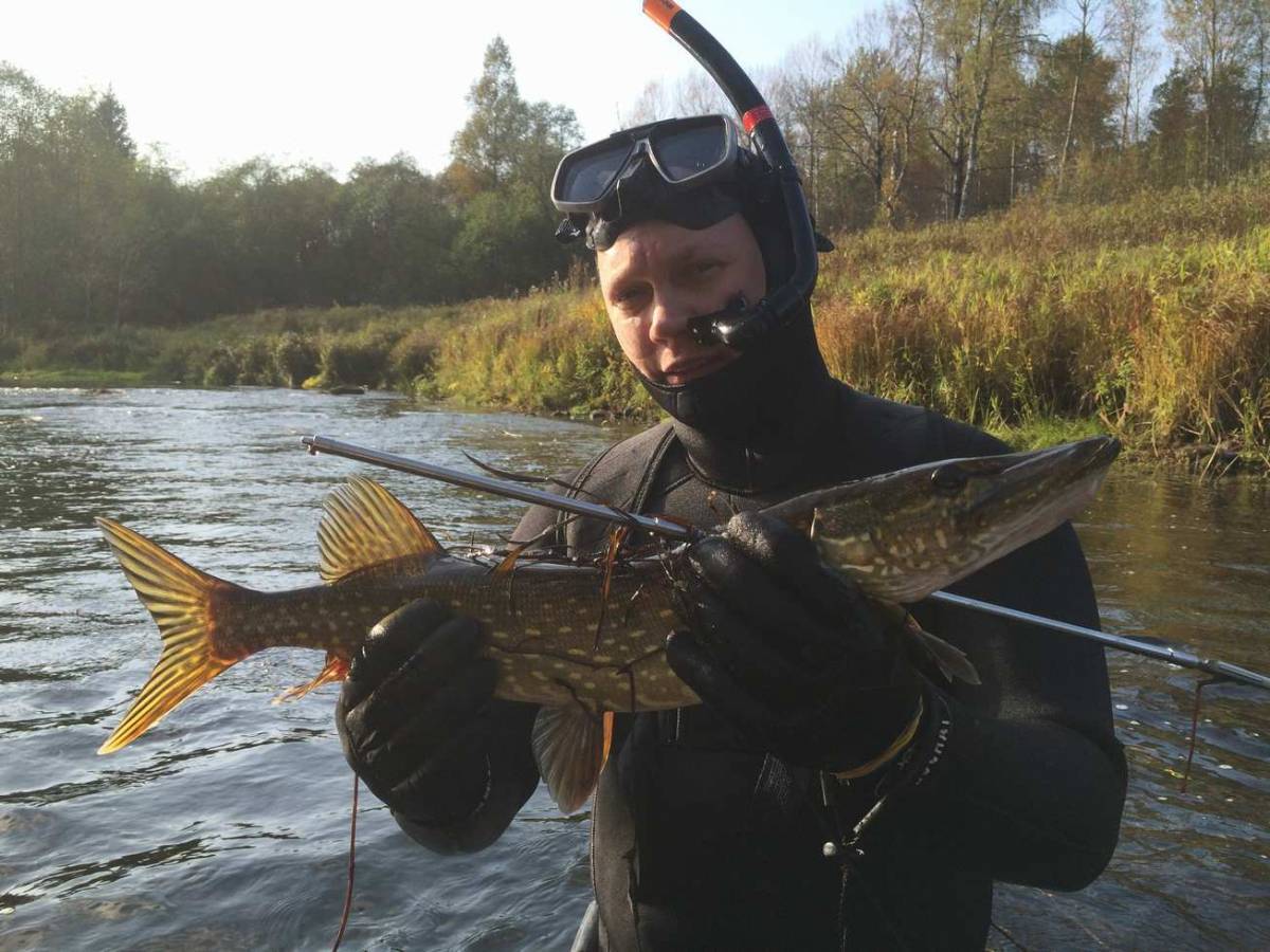 Рыбалка на валдае ловля окуня щуки леща в новгородской области