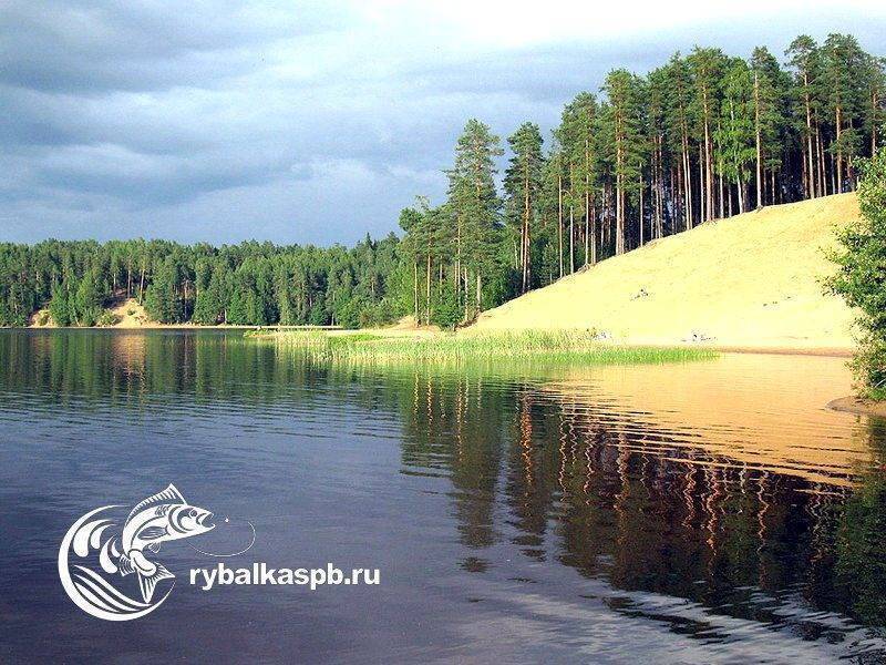 Зеркальное озеро в ленинградской области — рыбалка, базы отдыха, погода, отзывы, как добраться, фото