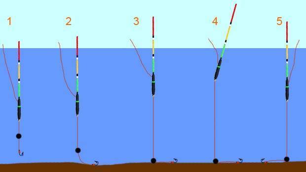 Как оснастить маховую поплавочную удочку начинающему рыболову