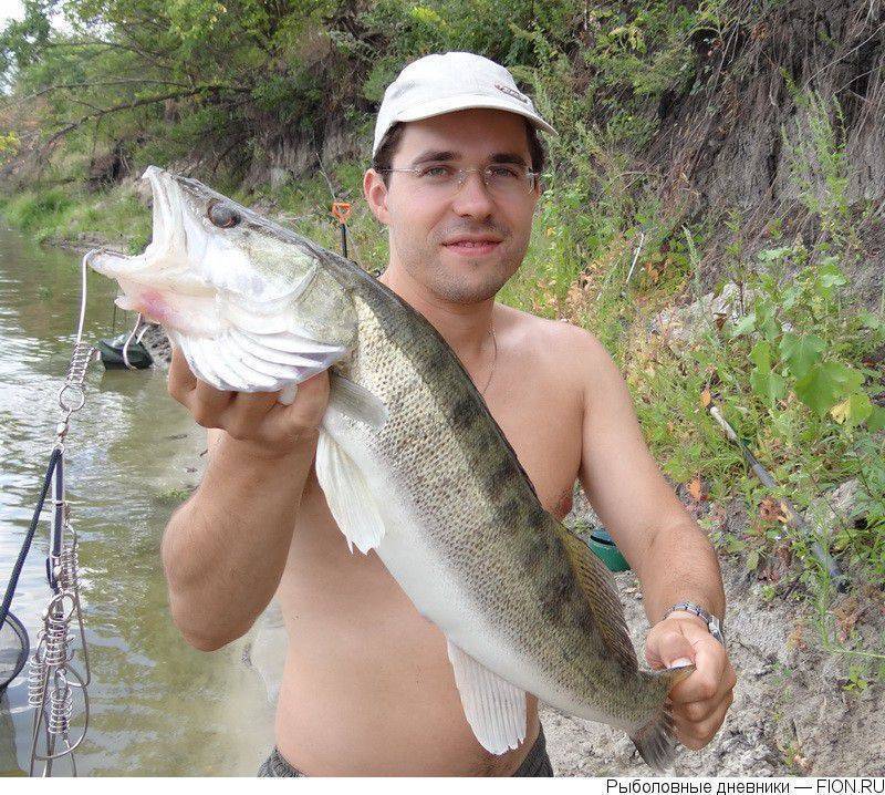 Рыбалка в ростове-на-дону: где и когда лучше ловить?