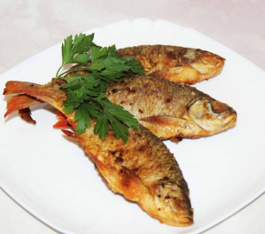 Рыба красноперка - описание с фото; как приготовить эту речную рыбу