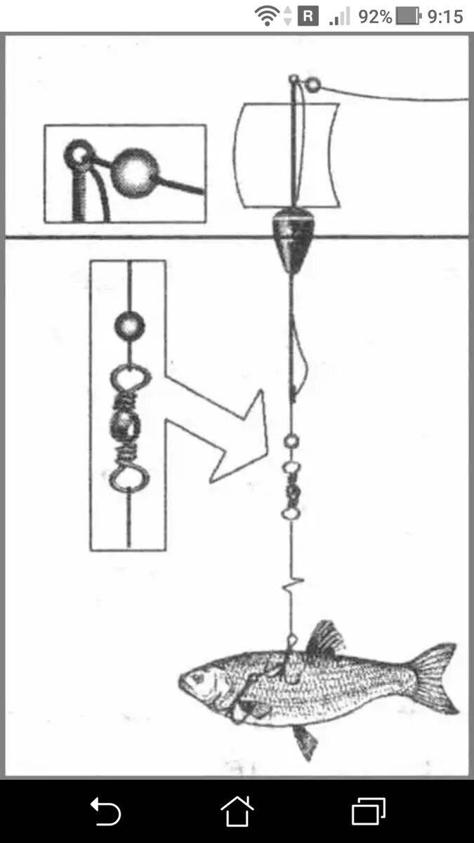 Как правильно готовить снасть на живца на щуку на судака