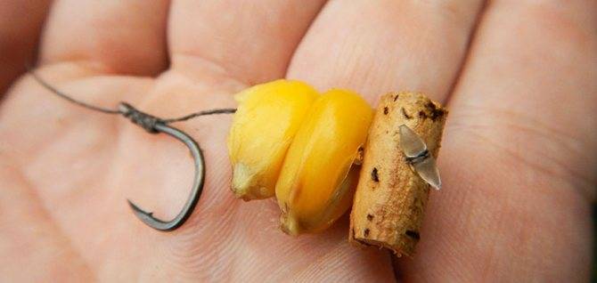 Ловим рыбу на макароны — уловистая наживка из кухни