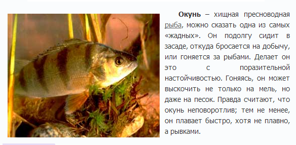 Щука
