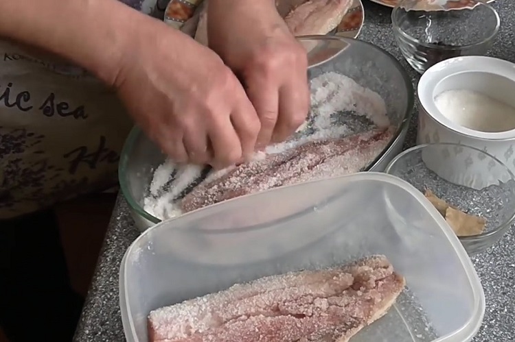 Как солить селедку в домашних условиях быстро и вкусно? простые и самые вкусные рецепты засолки сельди