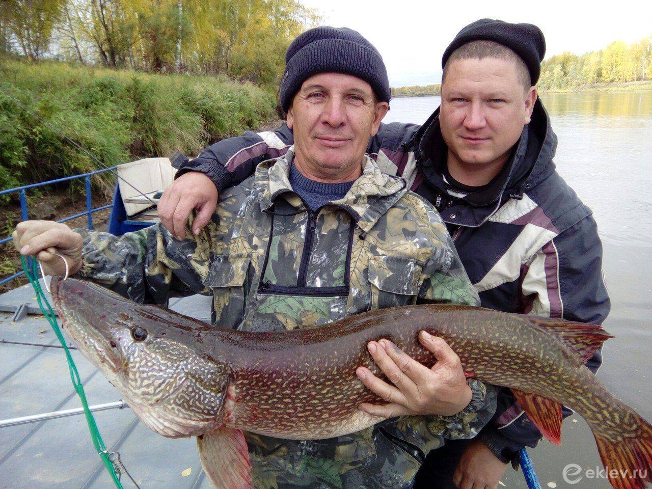 ᐉ рыбалка в томской области - ✅ ribalka-snasti.ru