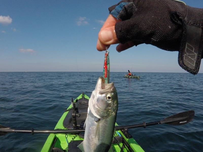 Рыбалка на море с лодки