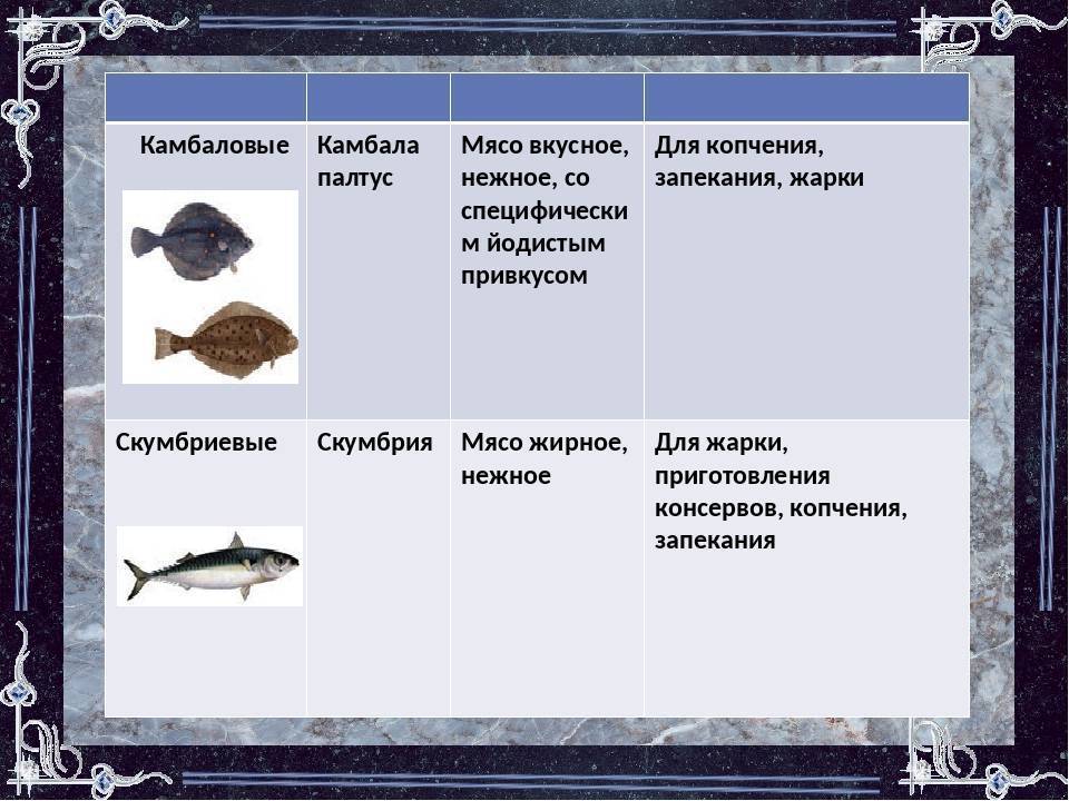 Камбала рыба. образ жизни и среда обитания рыбы камбалы