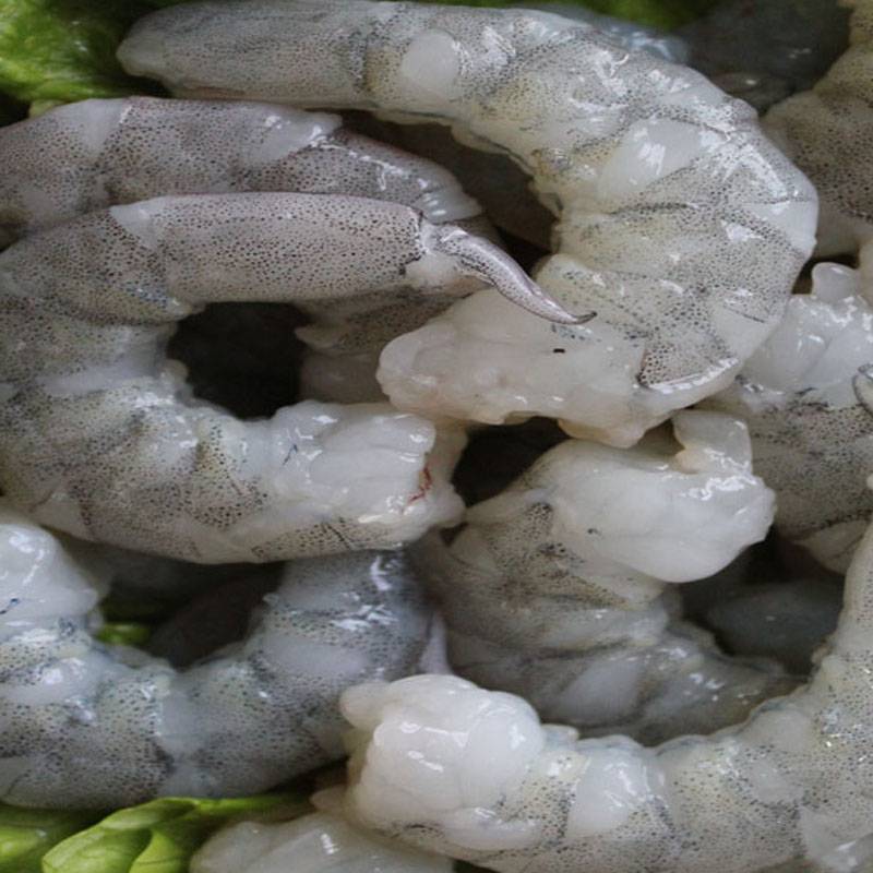 Узв для выращивания креветки ваннамей. equipment for growing shrimp vannamei.