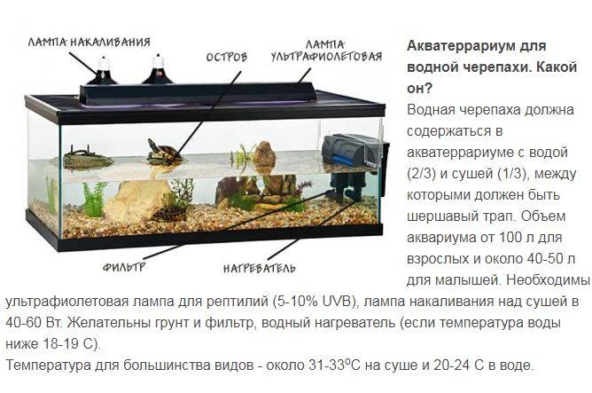 Таблица температур воды для разных видов рыб