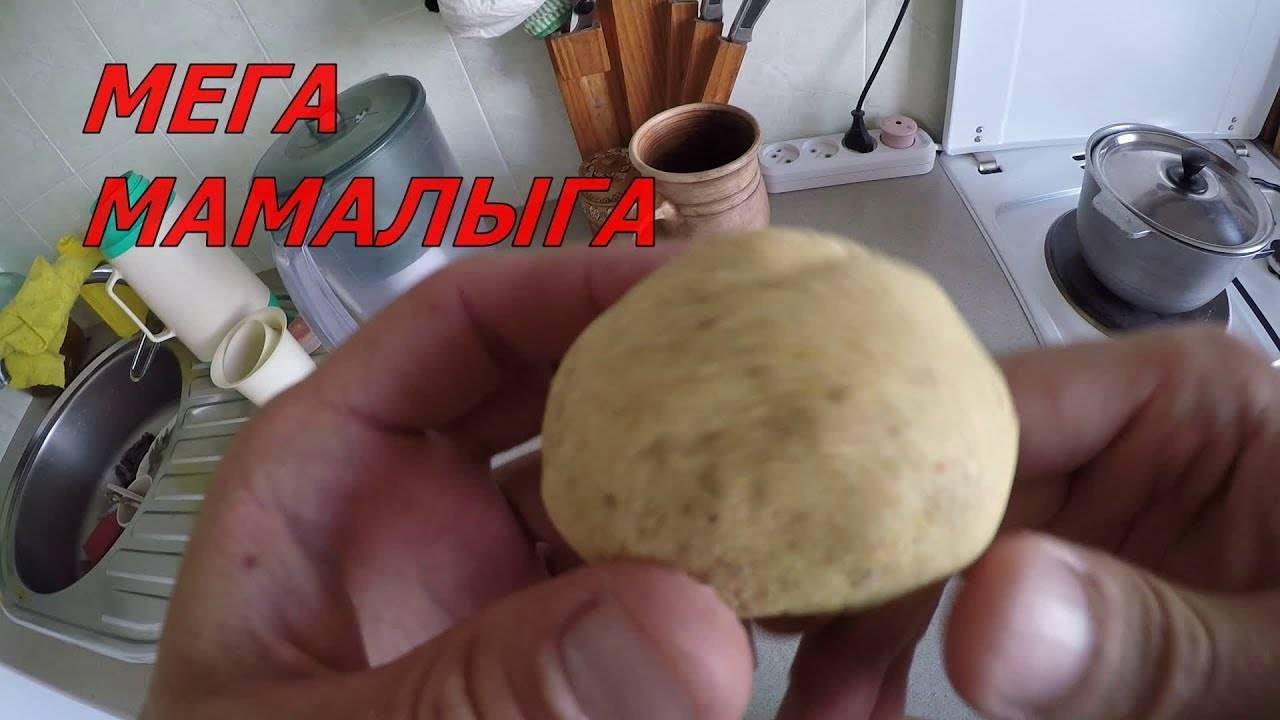 Как приготовить мастырку для ловли карася и карпа