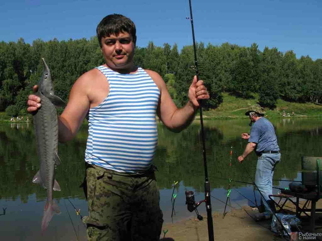 Советы рыболову при ловле осетра