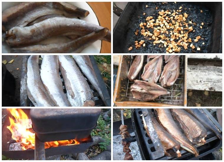 Как закоптить рыбу горячего копчения в домашних условиях