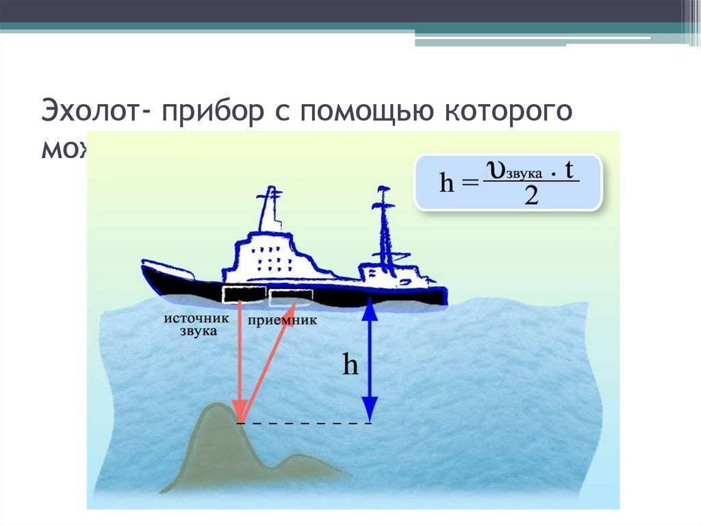 Какой эхолот лучше выбрать для рыбалки