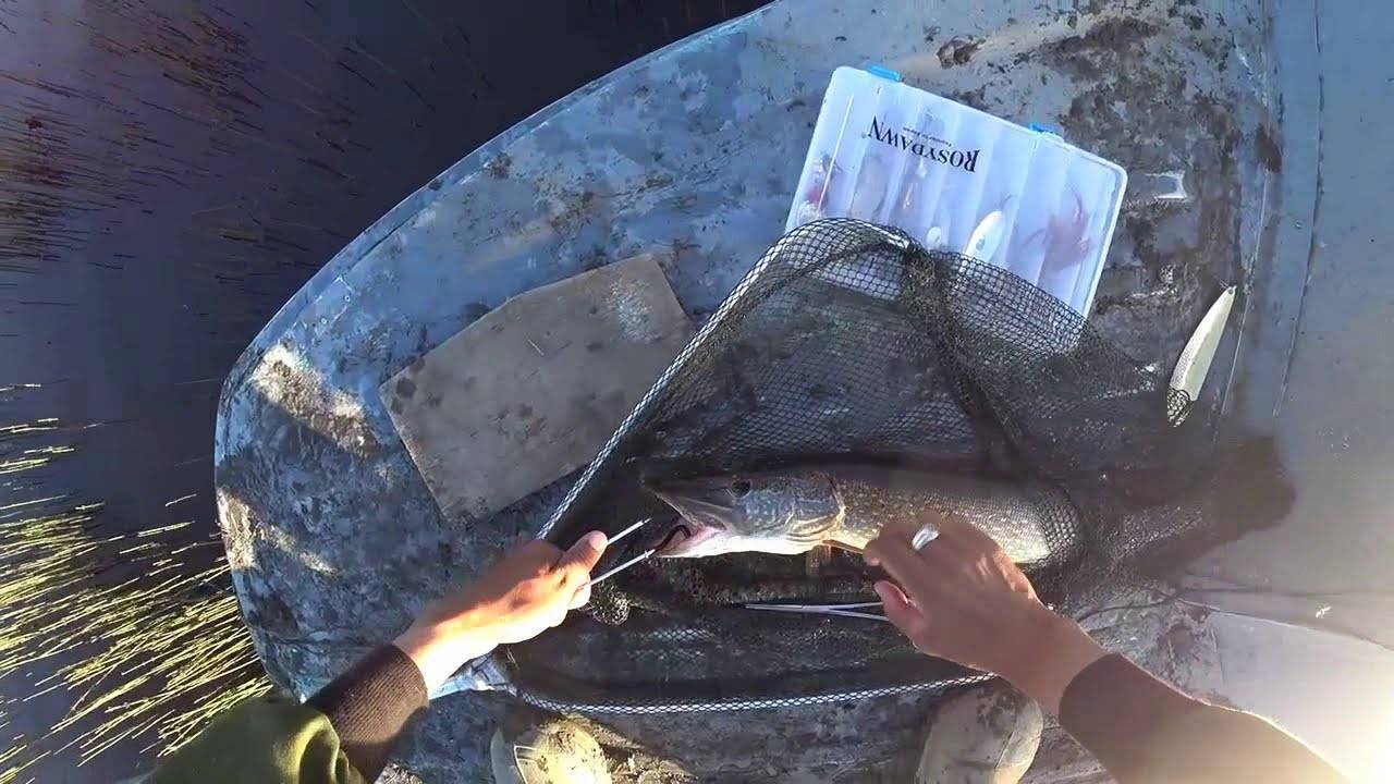 Рыбалка на тайменя – снасти и приманки