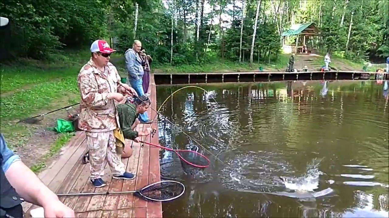ᐉ рыболовный клуб "савельево-1, ленинградка" - ✅ ribalka-snasti.ru