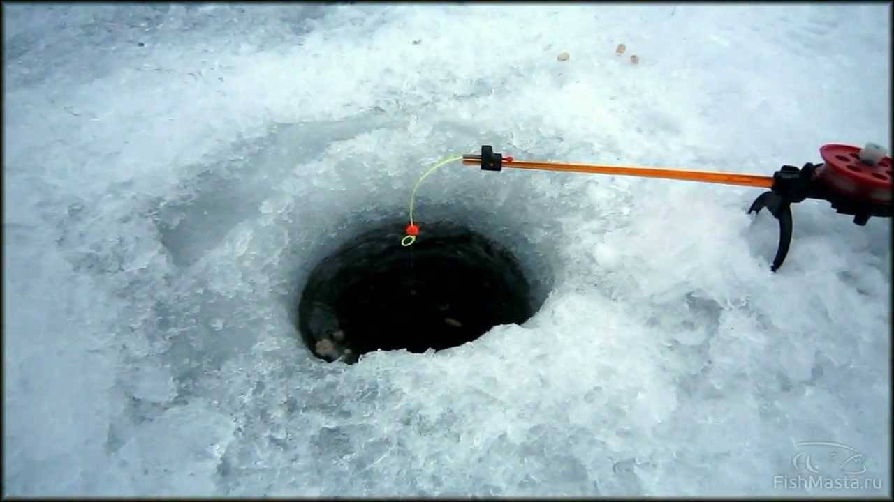 Ловля щуки на жерлицы зимой: устройство и оснастка, рыбалка на живца по первому и последнему льду, в глухозимье