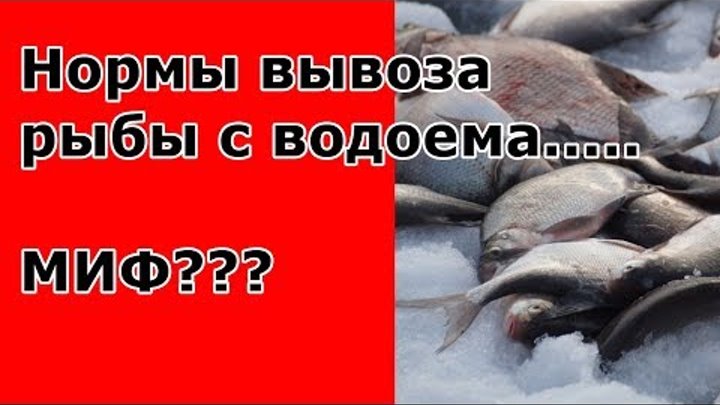 Минимально разрешенные к вылову размеры рыбы в западно-сибирском рыбохозяйственном бассейне, сохрани в закладки