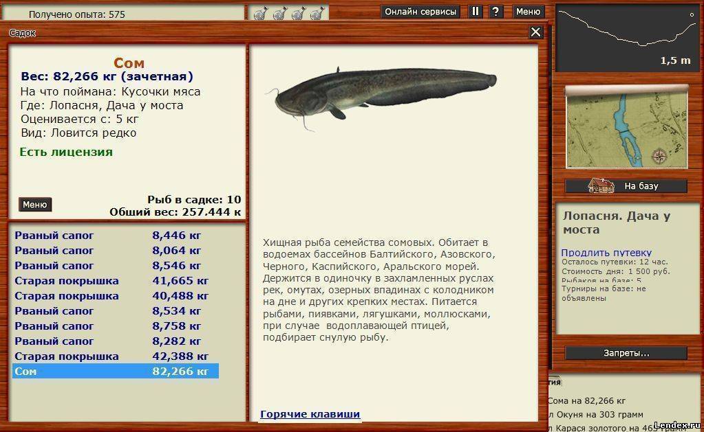 Река вуокса: обзор и характеристики, притоки, исток, устье