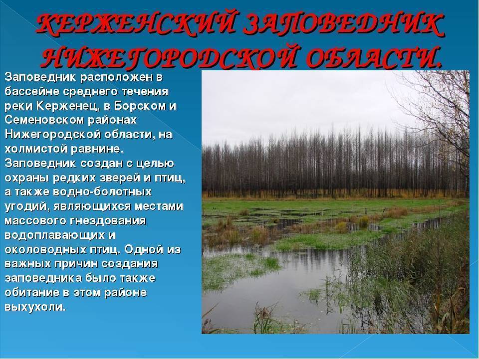 Заповедники нижегородской области презентация