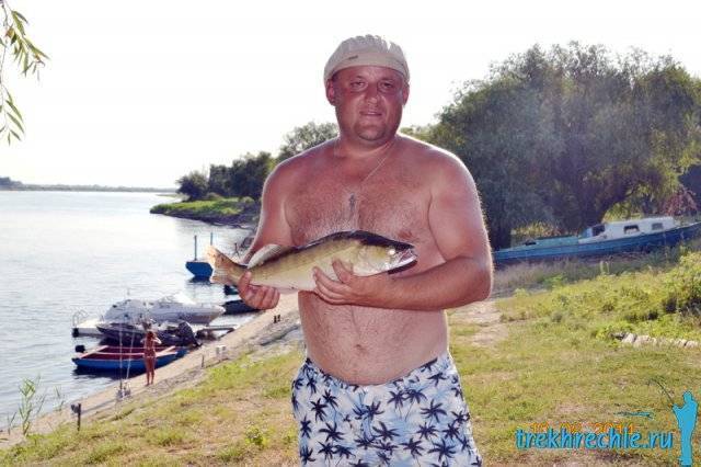 Рыбалка на ахтубе в августе: советы, фото и видео - рыбалка на ахтубе с комфортом