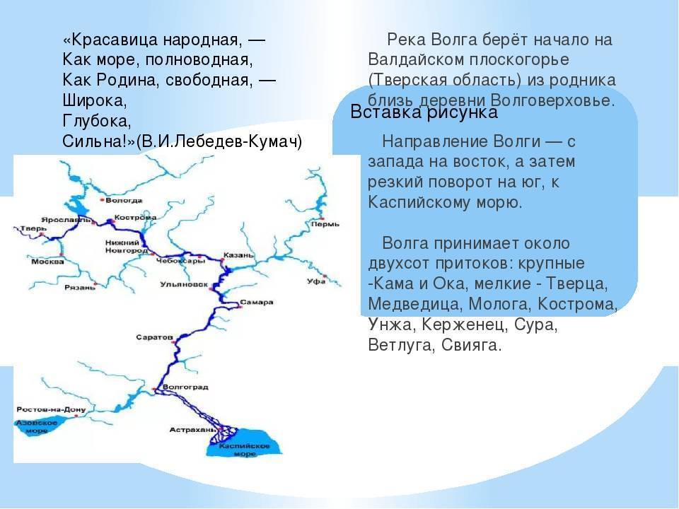 Притоки впадающие в крупные реки справа. Начало реки Волга на карте. Волга Исток и Устье. Схема реки Волга. Направление реки Волга на карте.