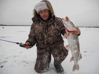 прудовая рыба в нижнем новгороде. Смотреть фото прудовая рыба в нижнем новгороде. Смотреть картинку прудовая рыба в нижнем новгороде. Картинка про прудовая рыба в нижнем новгороде. Фото прудовая рыба в нижнем новгороде