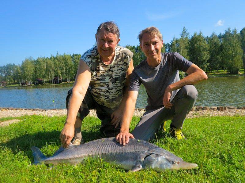 Рыбхоз в ногинском районе