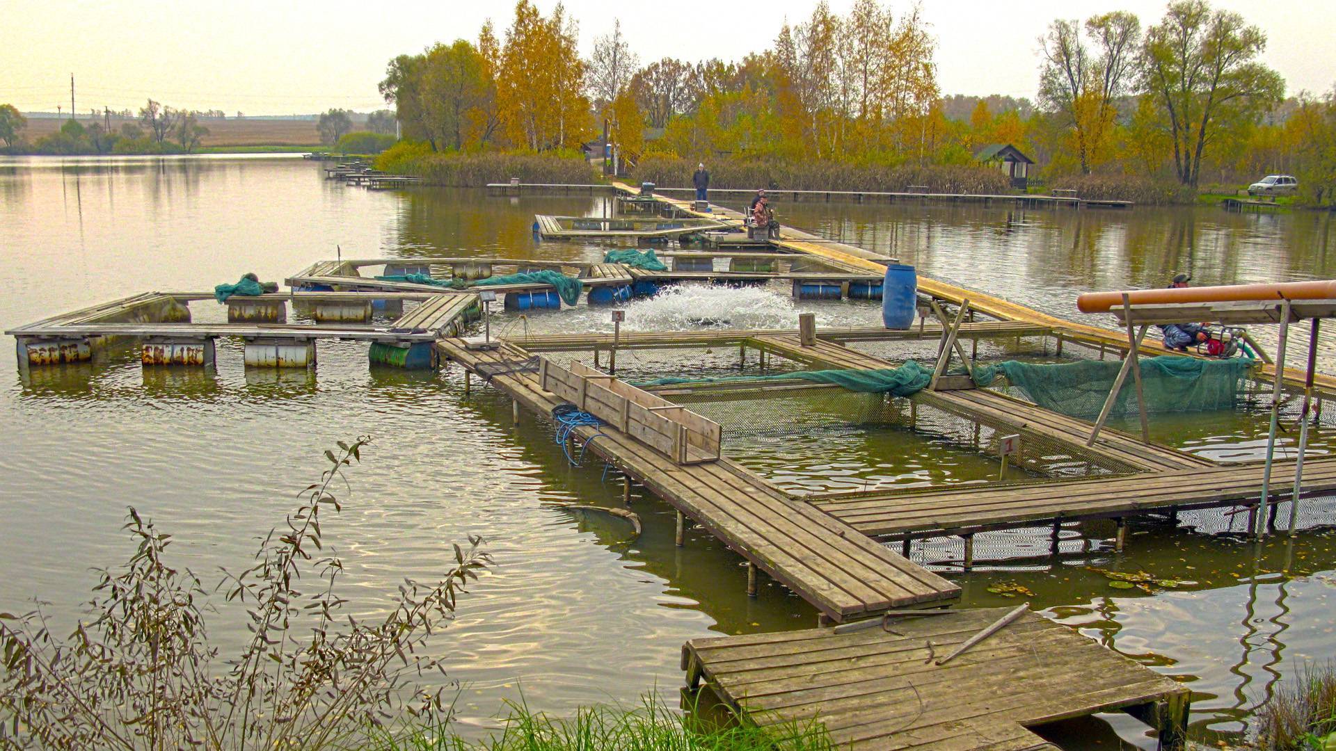 Места для рыбалки в сахалинской области – платная и бесплатная рыбалка!