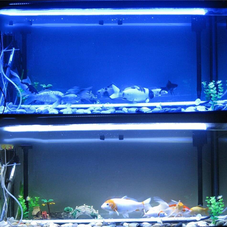 Как выбрать и установить светодиодную ленту для освещения аквариума