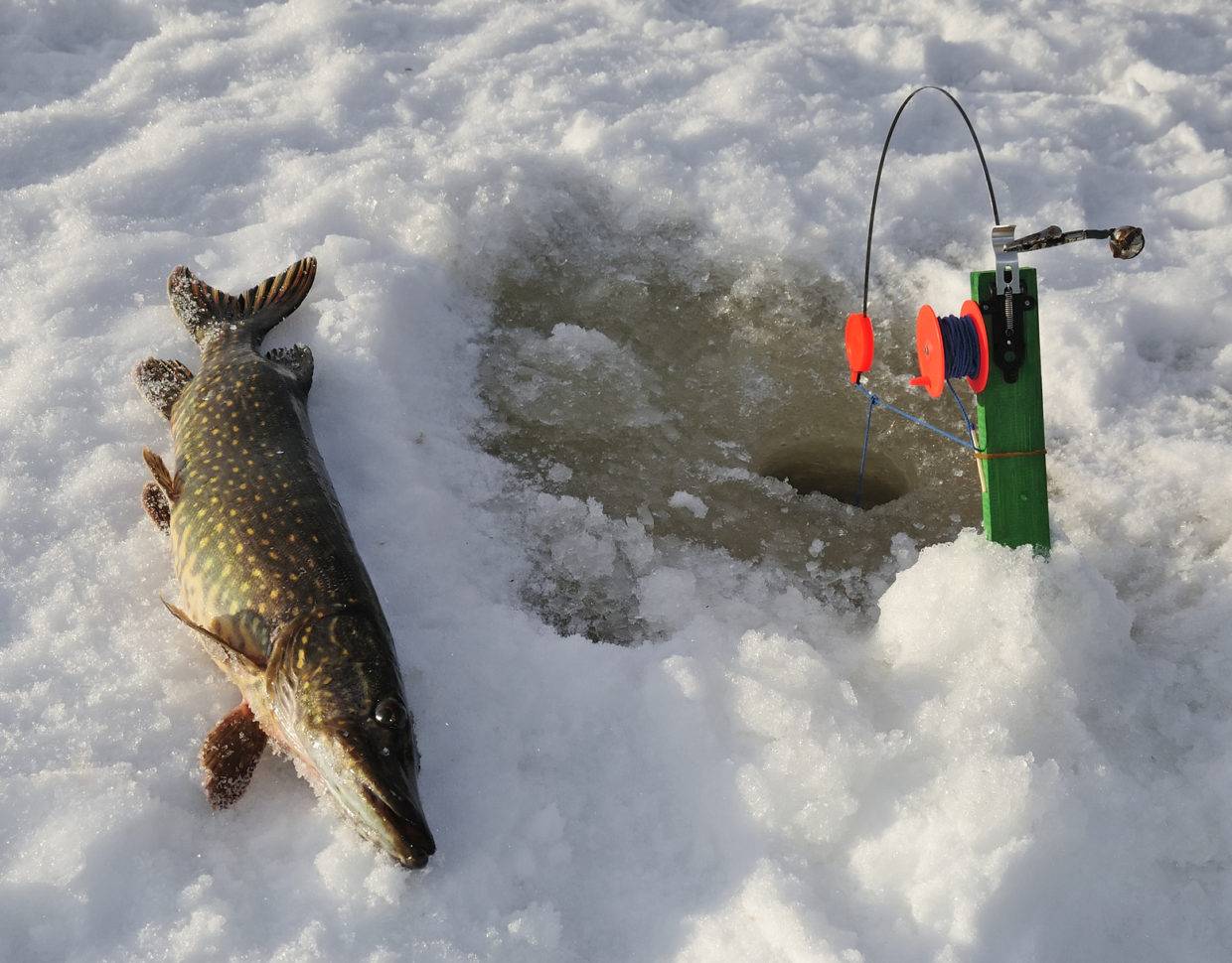 Ловля на вибы (раттлины) зимой - поиск рыбы, выбор приманки