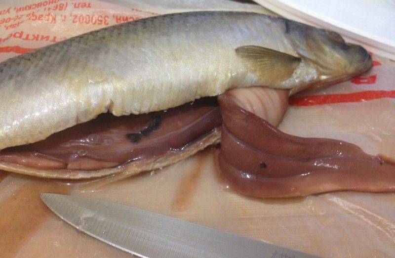 От какой рыбы можно заразиться описторхозом?
