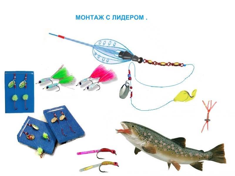 Ловля форели на спиннинг
