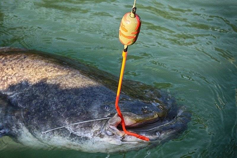 Донка с подводным поплавком для ловли сома – преимущества и особенности снасти